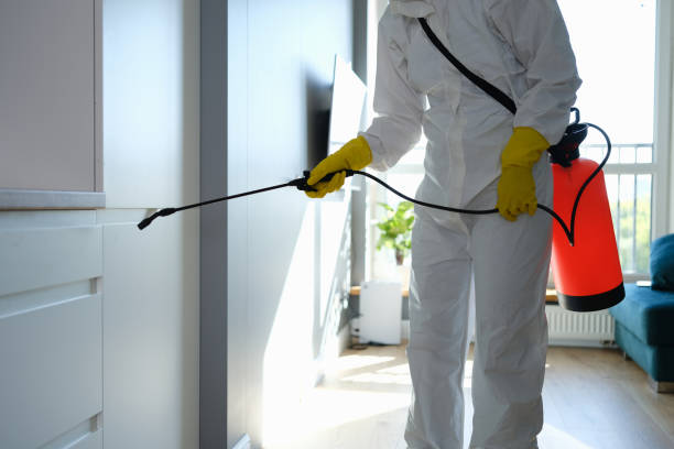 Best Crawl Space Mold Removal  in Port Labelle, FL